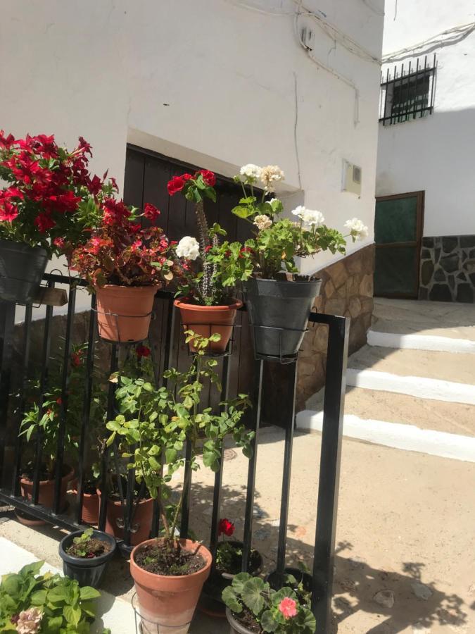 Casa Amigos Sorvilan- La Palmera Exterior foto