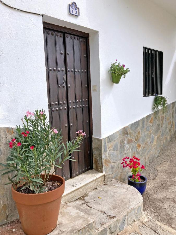 Casa Amigos Sorvilan- La Palmera Exterior foto